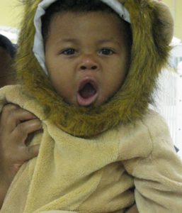fall harvest celebration lion